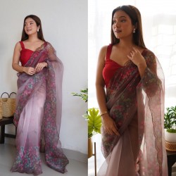Lightweight Luxe Organza Saree