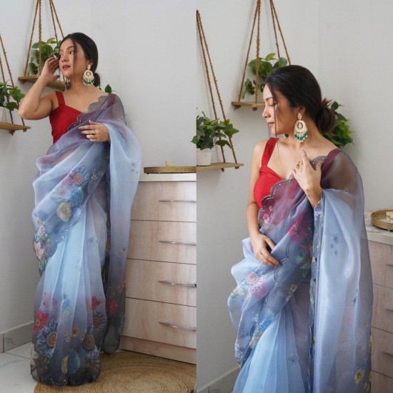 Lightweight Luxe Organza Saree