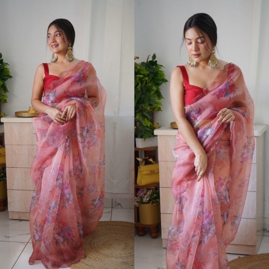 Lightweight Luxe Organza Saree