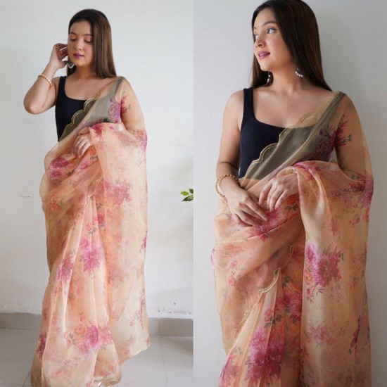 Lightweight Luxe Organza Saree