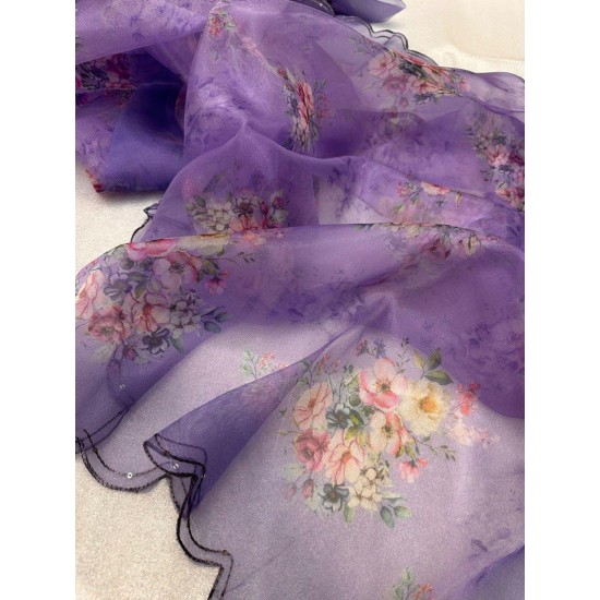 Lightweight Luxe Organza Saree