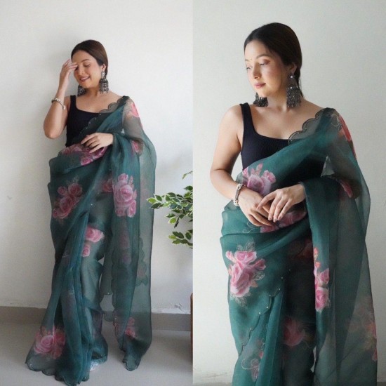 Lightweight Luxe Organza Saree