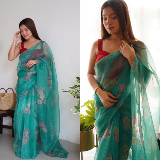 Lightweight Luxe Organza Saree